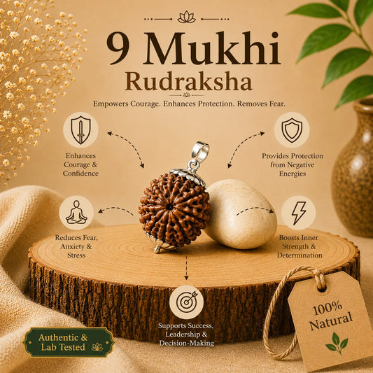 9 Mukhi Rudraksha