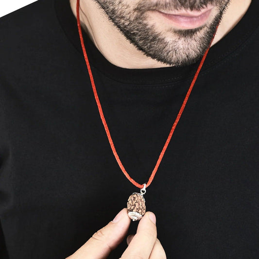 3 mukhi Rudraksh