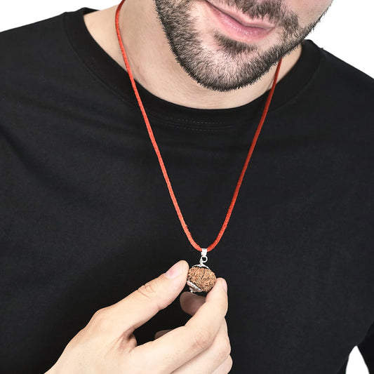 8 Mukhi Rudraksha