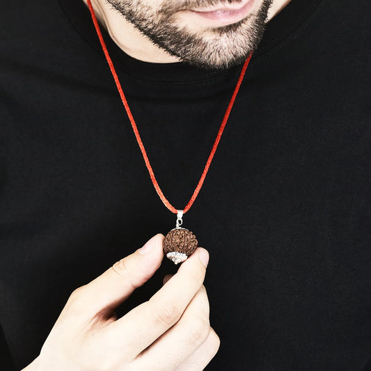 11 Mukhi Rudraksha