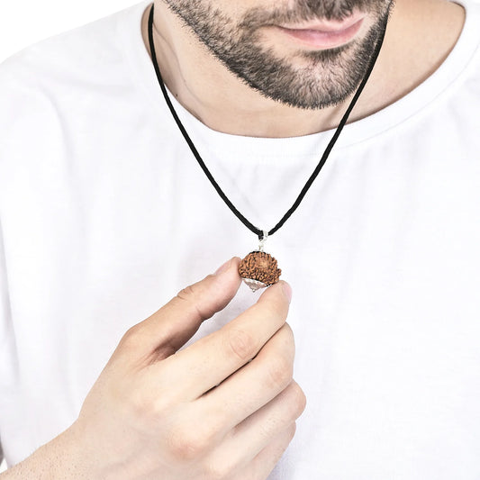 12 Mukhi Rudraksha